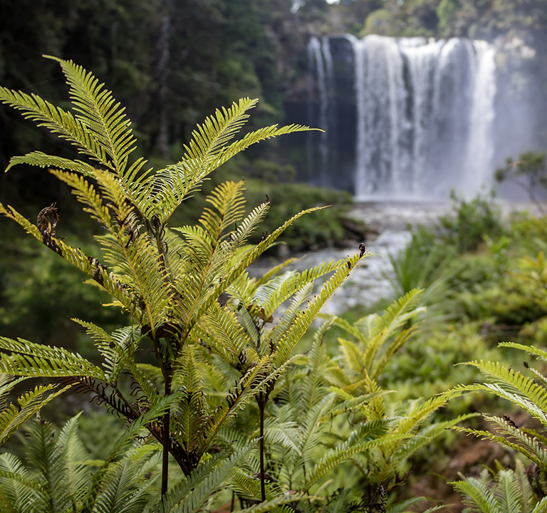 Sustainability hero banner mobile